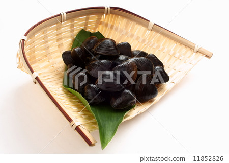 Shizumi貽貝原料 11852826