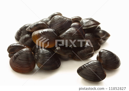 Shizumi mussels raw ingredients 11852827