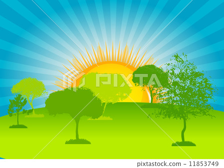 Abstract Silhouette Tree. Vector Illustration.  11853749