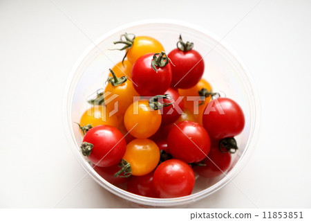Mini Tomato  Mini Tomato 11853851