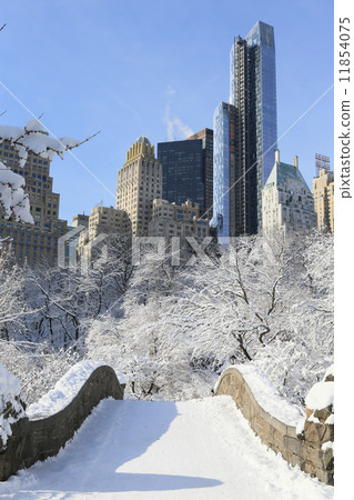 Snowy landscape from the bridge Central Park Vertical 11854075