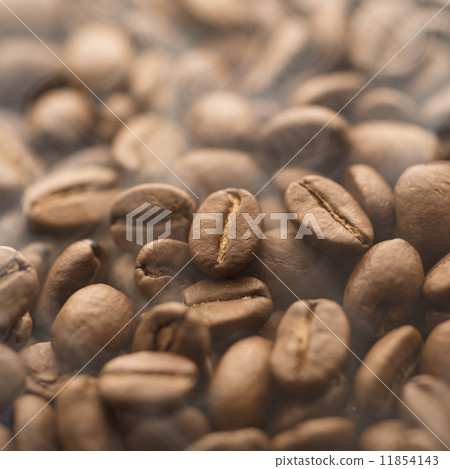Coffee beans  11854143