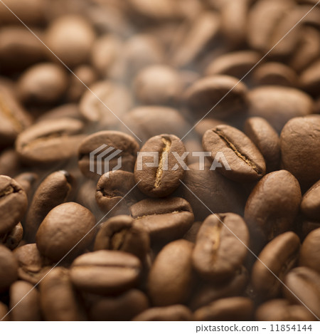 Coffee beans  11854144