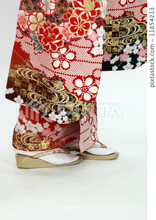 Kimono Kimono 11854213
