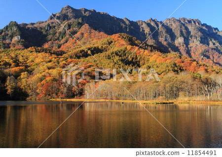 Togakushi highland autumn leaves in autumn and Togakushi Togakushi highland autumn leaves in autumn and Togakushi 11854491