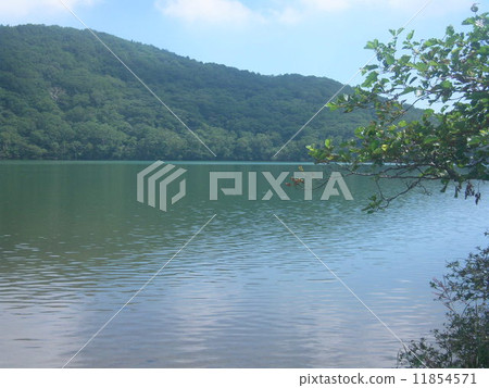Lake of Lake Lake (Gumma Prefecture Maebashi City Akagiyama Wakumibuchi) 11854571