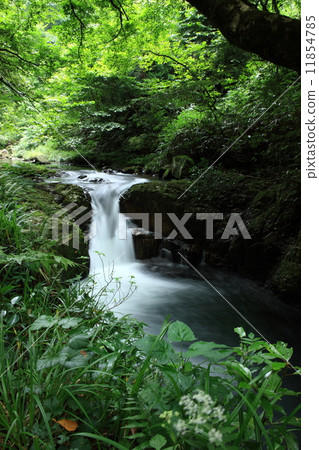 Yae瀑布的Kawaga瀑布 11854785