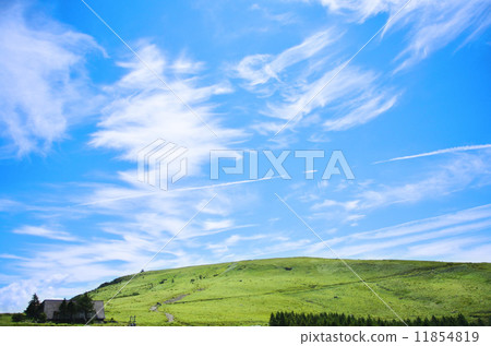 Prairie and clouds 11854819