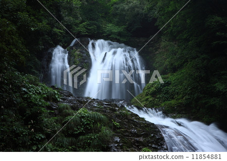 Hakoda瀑布和Yae瀑布的Yaesu瀑布 11854881