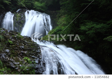 Hakoda falls and Yaesu waterfall at Yae Falls Hakoda falls and Yaesu waterfall at Yae Falls 11854882