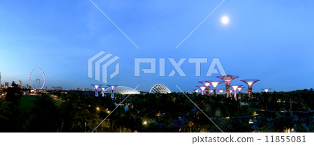 Night view of Supertree Grove at Gardens by the Bay 11855081