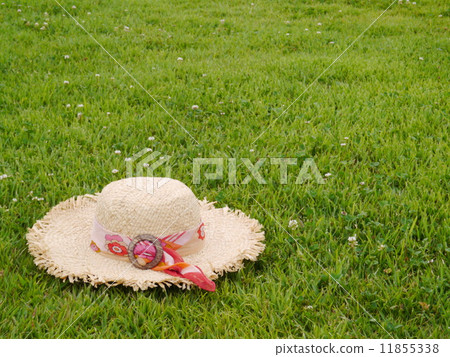straw hat 11855338