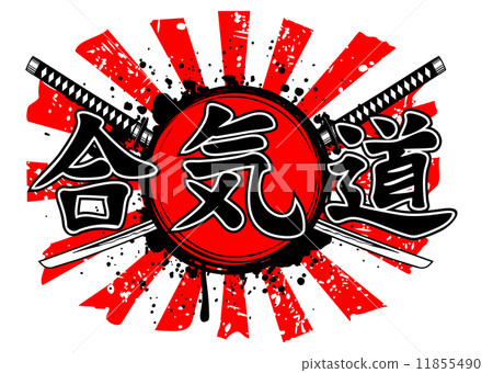 aikido aikido 11855490