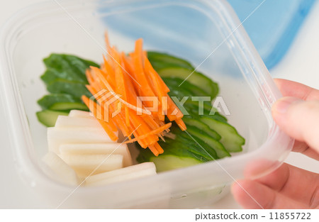 Making Pickles Making Pickles 11855722