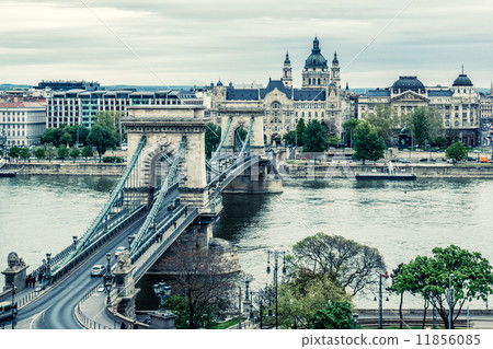 Chain Bridge. Budapest city. Hungary Chain Bridge. Budapest city. Hungary 11856085