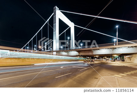 Night view of Elisabeth Bridge 11856114