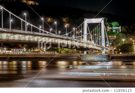 Night view of Elisabeth Bridge 11856115