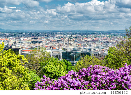 View of Pest, eastern part of Budapest. Hungary 11856122
