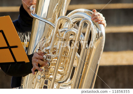 Muse Park 12 11856355