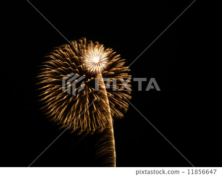 Shonan Flicker Firework Tournament 11856647