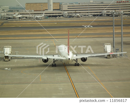 Haneda Airport First Passenger Terminal 11856817