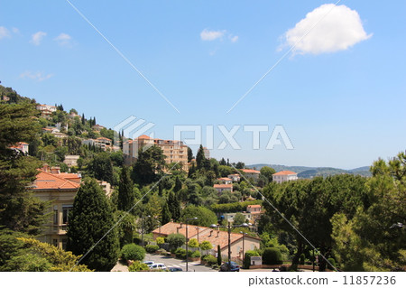 Nice blue sky and clouds of grass 11857236