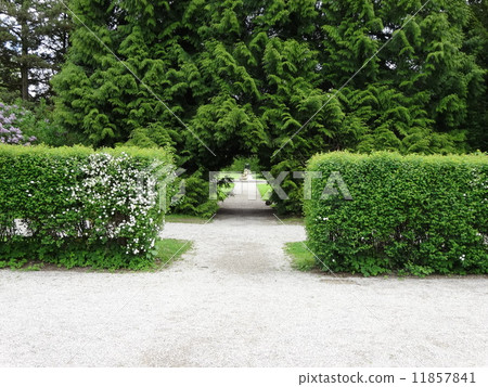 Nymphenburg城堡花園 Nymphenburg城堡花園 11857841