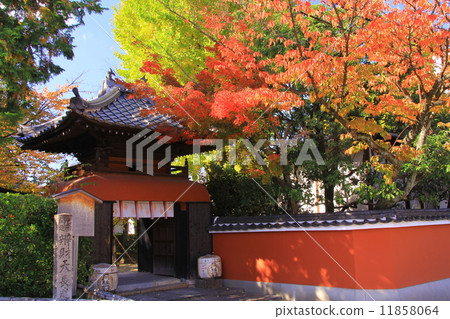 Choshinji的秋葉（京都/伏見） 11858064