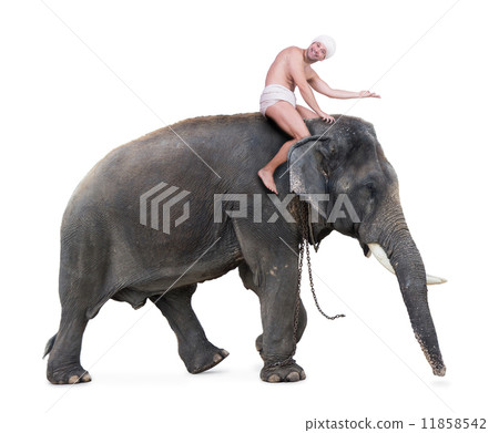 mahout rides on an elephant and shows forward mahout rides on an elephant and shows forward 11858542