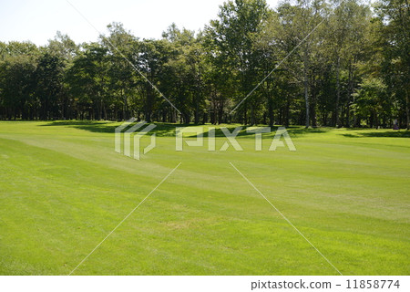 Golf course Golf course 11858774