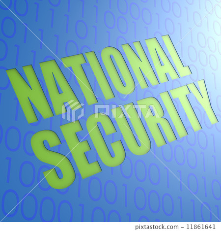 National security 11861641