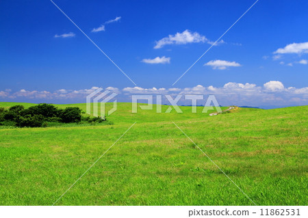 Nigahara plateau in the summer Nigahara plateau in the summer 11862531