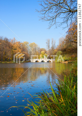 autumn park Lazienki, Warsaw 11862747