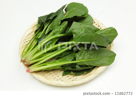 spinach  11862772