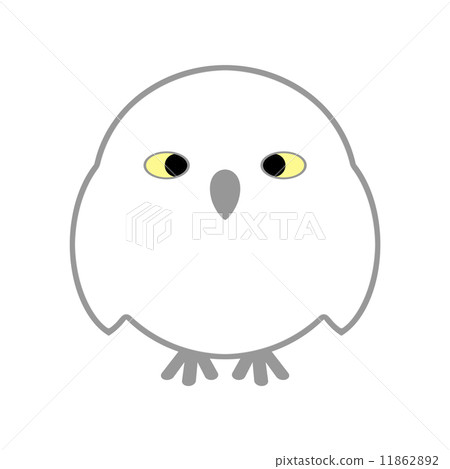 White Owl 11862892