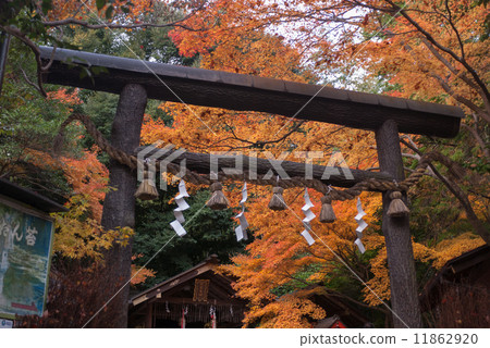 Nomiya Shrine Torii of Kuroki 11862920