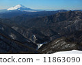 雪和Tanzawa山的塊富士山 11863090