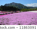 Shiba Sakura no Oka（Rishan Park）和Mt. 11863091