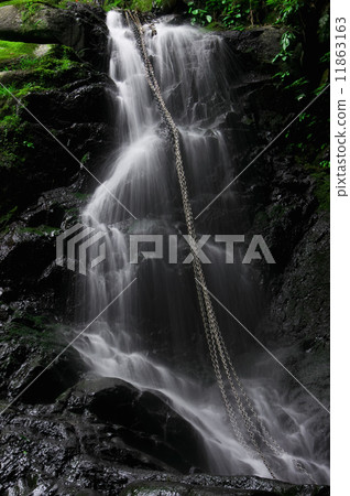 Nature Nature 11863163