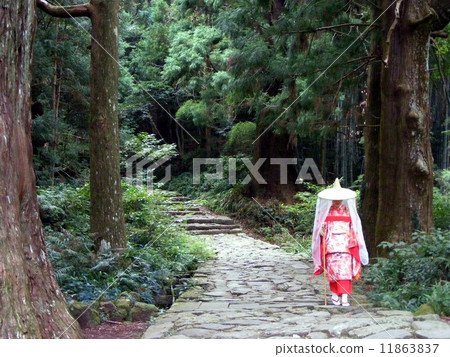 World heritage Kumano Kodo · Daimonzaka couple 11863837
