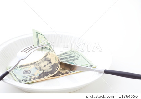 Food expenses 11864550