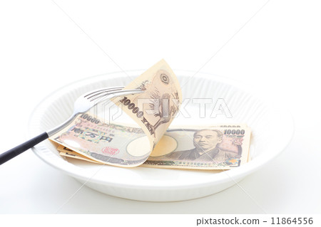 Food expenses 11864556