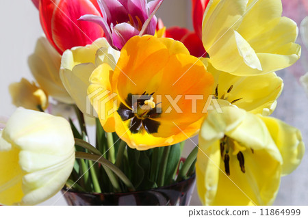 Bouquet of colorful spring tulips 11864999