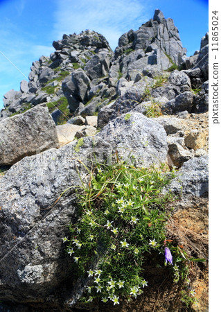 Rock peak of the Central Alps · Buddhist monks and flowers of Takane Tsukusa Rock peak of the Central Alps · Buddhist monks and flowers of Takane Tsukusa 11865024