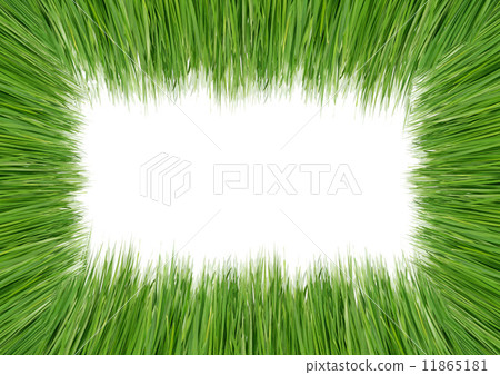 Green grass Green grass 11865181