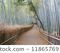 京都 11865769