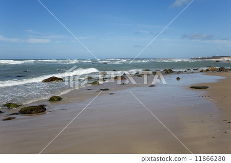 Coastline of Hirtshals (Denmark) 11866280