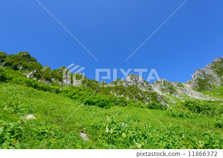 Kiso Komagatake Senjyojiki捲曲 11866372