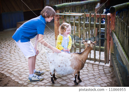 Happy kids petting a goat in a zoo Happy kids petting a goat in a zoo 11866955