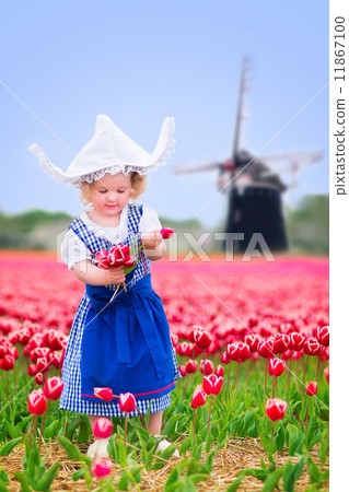 Little girl in a national Dutch costume in tulips field with win Little girl in a national Dutch costume in tulips field with win 11867100